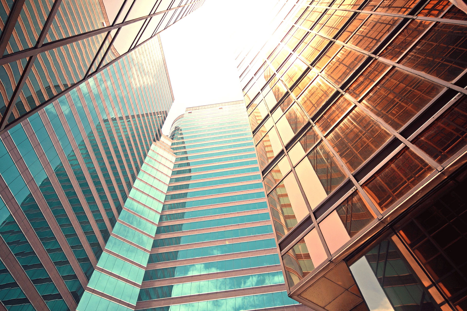 Glass buildings view from bottom