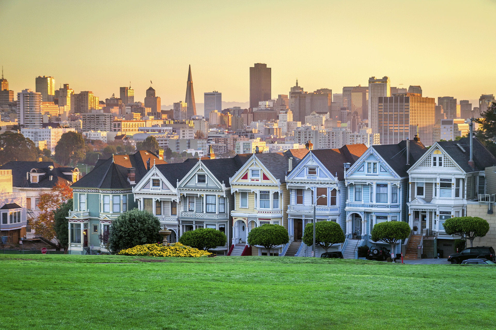 San Francisco Painted Ladies