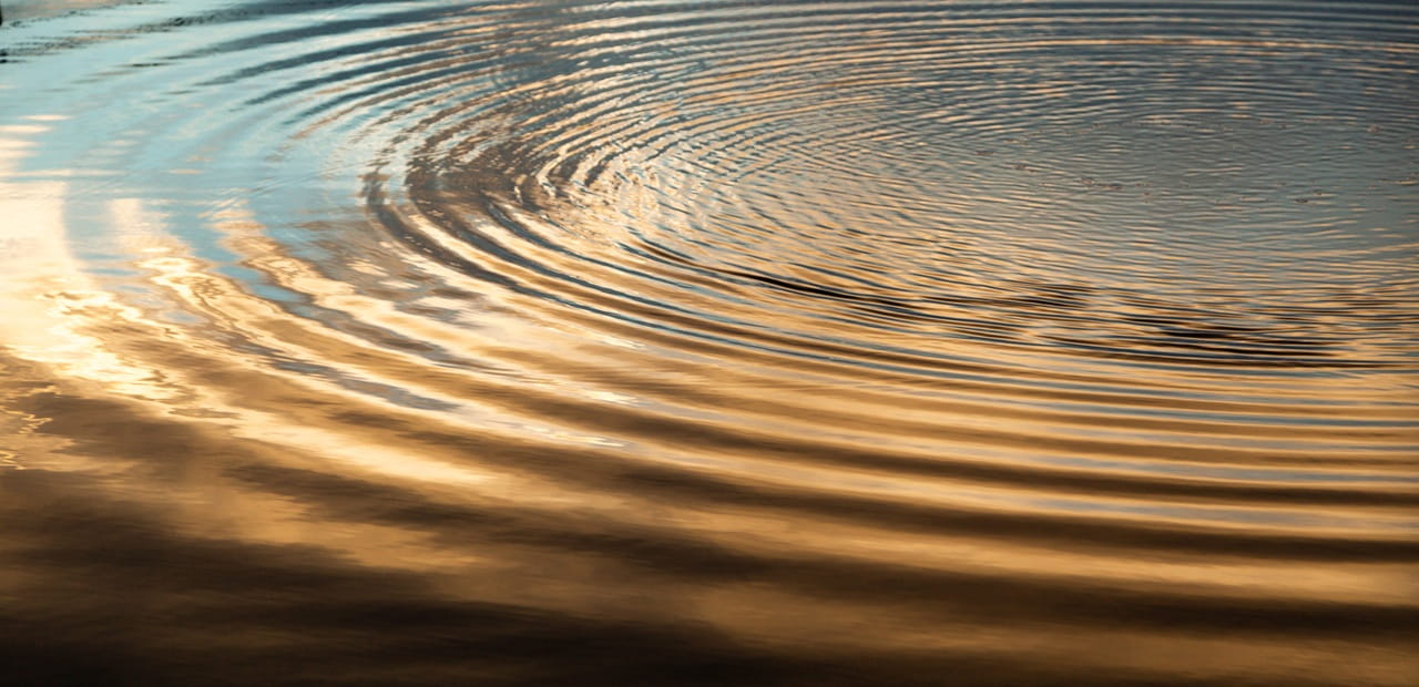 Concentric ripples spread across calm water, reflecting golden light from the setting sun.