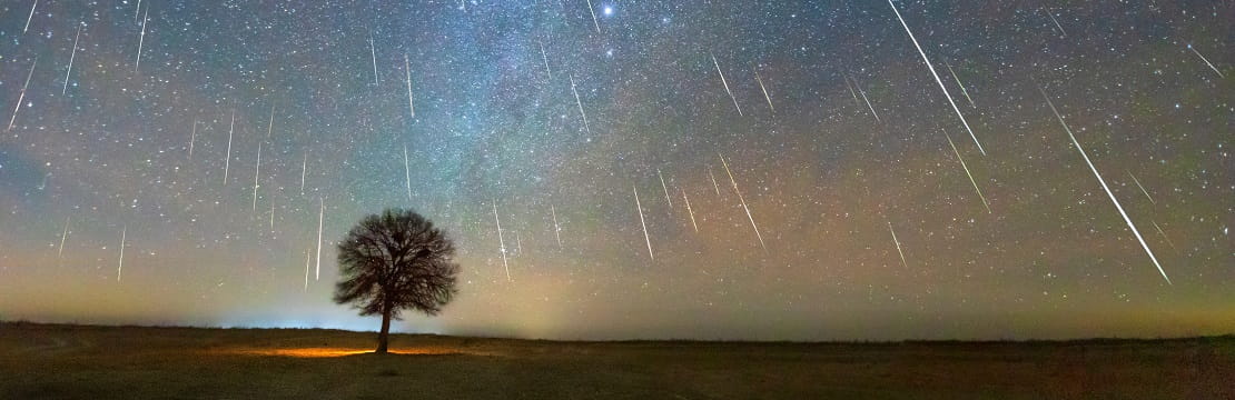 Don't sleep on these nighttime spectacles and experiences